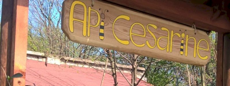 RINGRAZIAMENTO SPECIALE DALLE API CESARINE