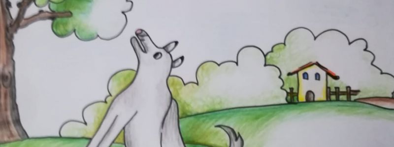 Una favola del bosco