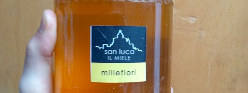 Assaggia il miele naturale delle api