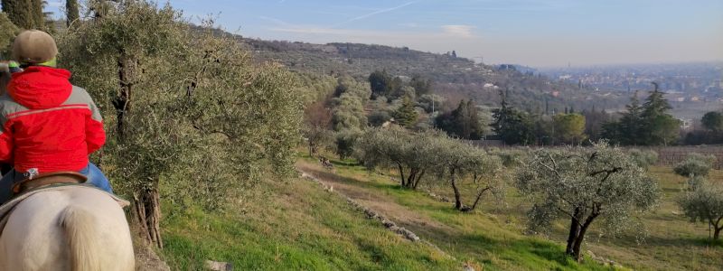 PASSEGGIATA A CAVALLO