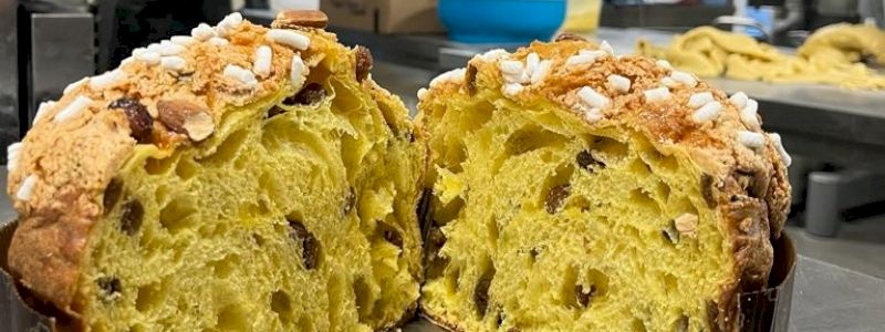 Panettone artigianale del forno Un Chicco