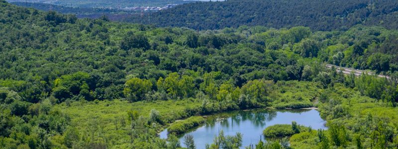 Visita guidata alla Riserva dei Laghi di Doberdò e Pietrarossa