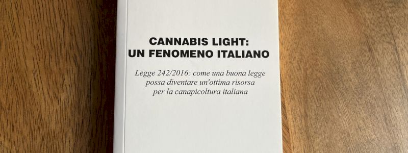 Pubblicazioni