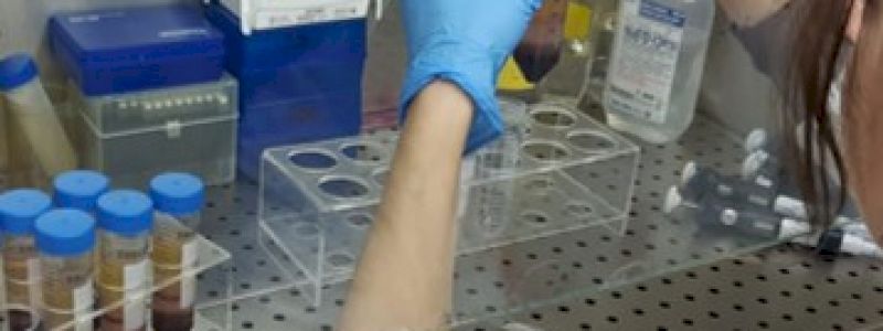 Un viaggio nel nostro laboratorio e...nella Ricerca! - A journey to our lab and in the world of research