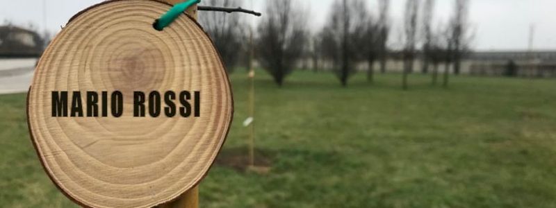 Last Minute! Adotta gli ultimi 6 alberi