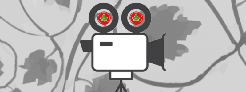Un video di ringraziamento tutto speciale — A very special thank-you video