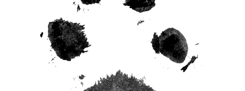 set 2  