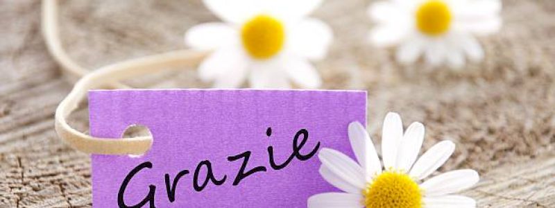 Lettera di ringraziamento