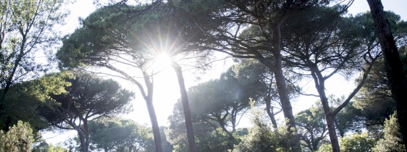MOKSHA: offerta libera!