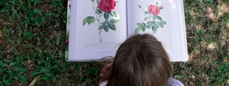 Un'idea per un libro