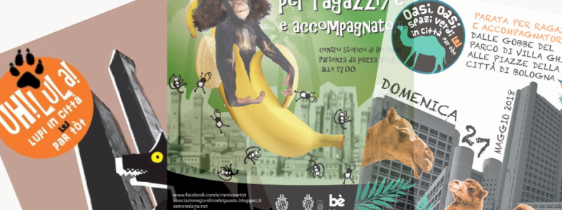 Sostenitorə #amarcord: Collezione delle locandine delle passate edizioni!