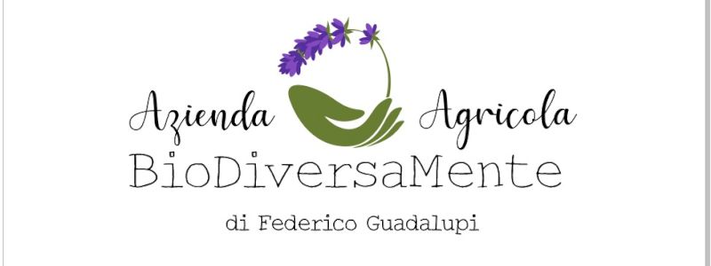 Diventa Nostro Partner! (Become our Partner!)