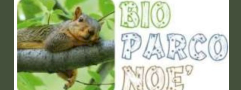 Al nostro fianco - al centro del Bio Parco Noè