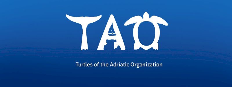 TAO T-Shirt Special Edition