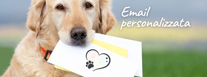 1/23 FMT = Ringraziamento personalizzato