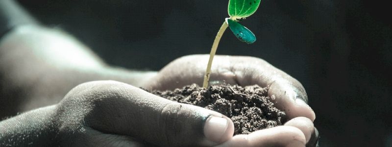 UN MANUFATTO PER TE