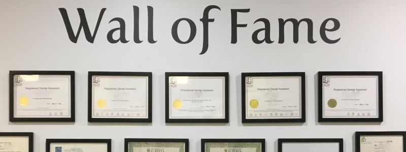 Viola - Wall of fame