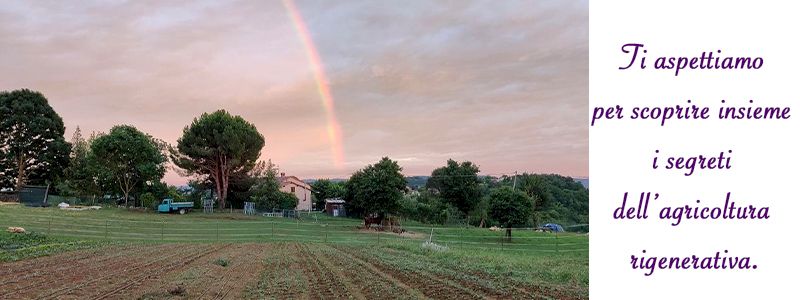 Molti fiumi alimentano un mare