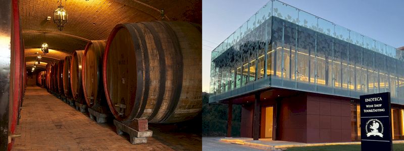 Visita in cantina con degustazione vino e bottiglia di vino Nomos