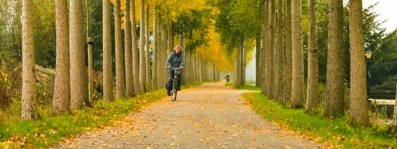 Formazione Online: l'ABC della Mobilità Sostenibile per TE & Formazione Sospesa per una CLASSE