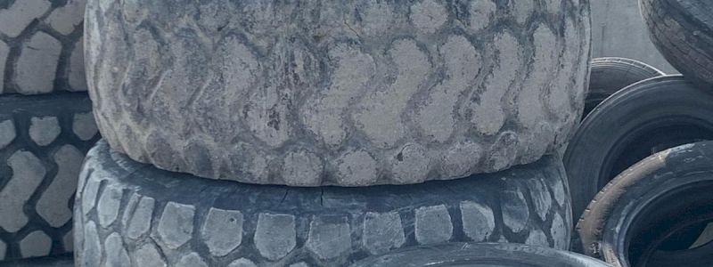 DIVENTA PROTAGONISTA DURANTE UNA DOMENICA DI ADDESTRAMENTO