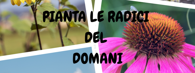 PIANTA LE RADICI DEL DOMANI