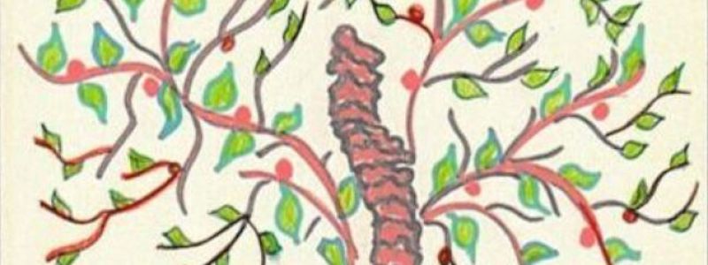 Video lezione su misura di ginnastica posturale o pilates