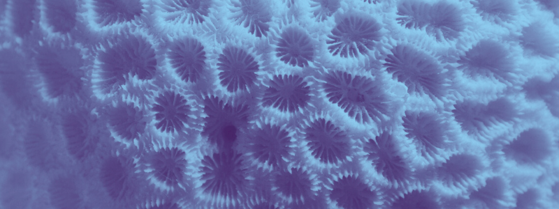 Sei un'azienda? Diventa main sponsor del Museo!