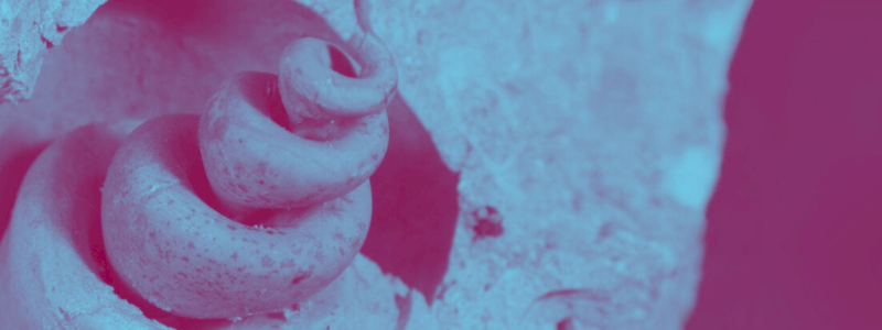 Paleontologo per un giorno