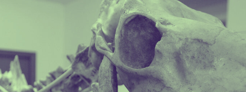 Visita privata di gruppo