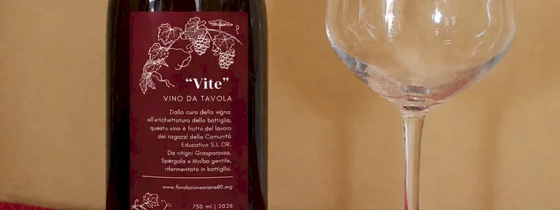 Assapora la vigna della Fondazione: una bottiglia del nostro vino per te