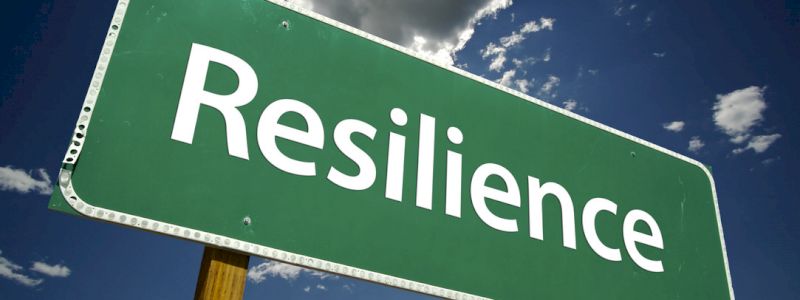 SOSTENITORE RESILIENTE