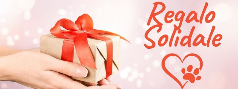1/14 FMT  = Regalo solidale
