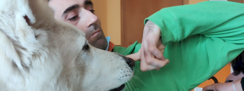 Donazione in memoria