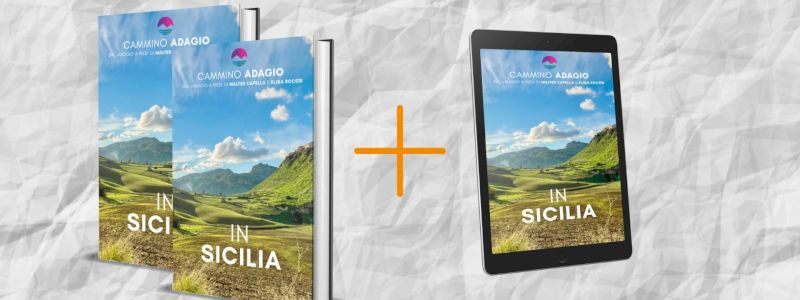 2 Libri cartacei + 1 ebook<br>SPEDIZ. ITALIA<br>| 2 hard-copies +1 ebook SHIPPING TO ITALY