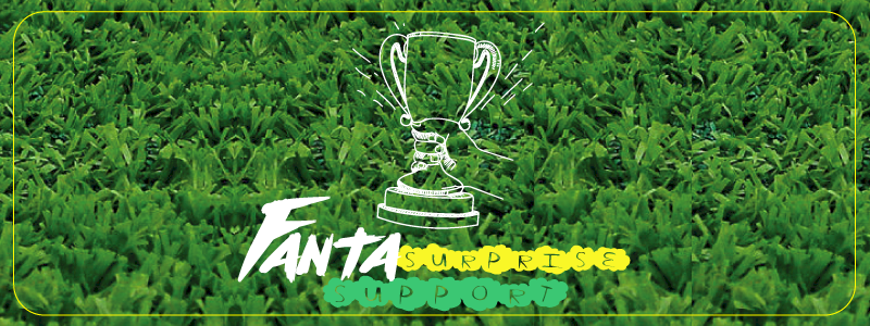 Fanta Surprise Support