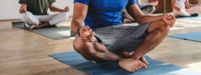 The Yoga Experience