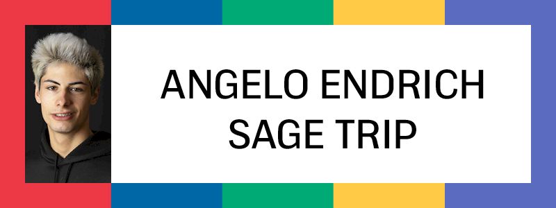 “Sage Trip” di Angelo Endrich