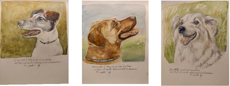 Il tuo cane in un ritratto