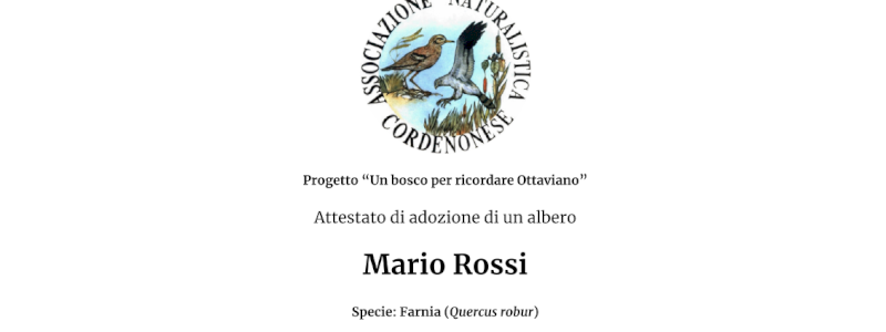 A Natale regala... un albero!