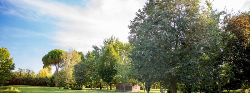 GRATITUDINE DAL PARCO