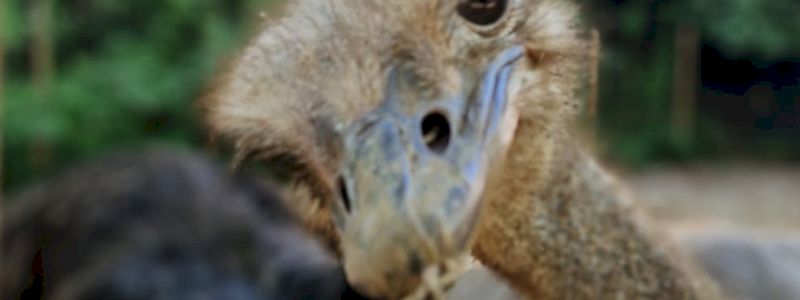 I nostri amici ringraziano con gioia