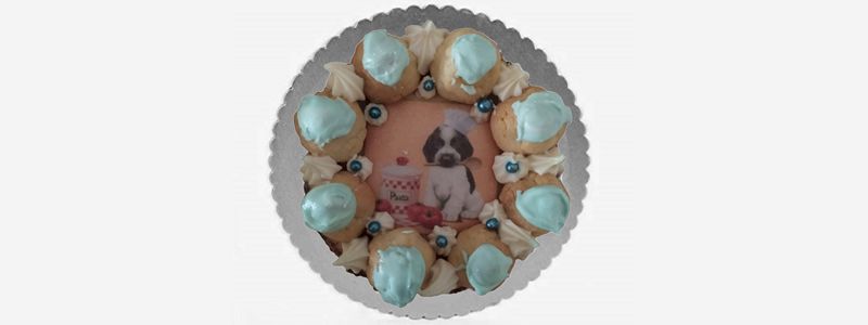 Un dolce premio per il tuo cane