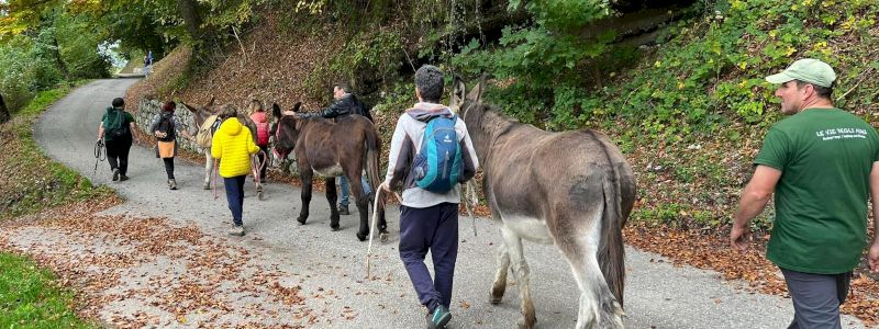 Ripercorri il cammino del progetto alla cascata Sajant (x 2 persone)