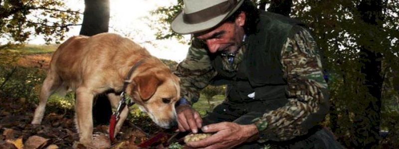 Una notte con un trifulau