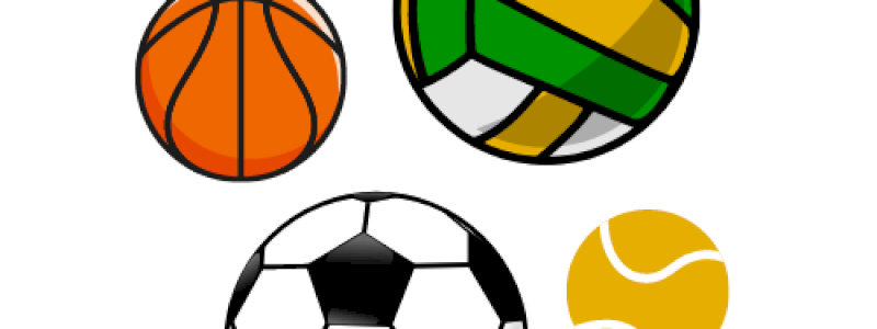 Un team building alternativo per il futuro