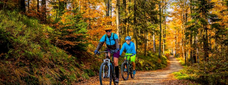 Giro per le vie del carso in bici con 360MTB