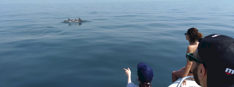 Biologi per un giorno