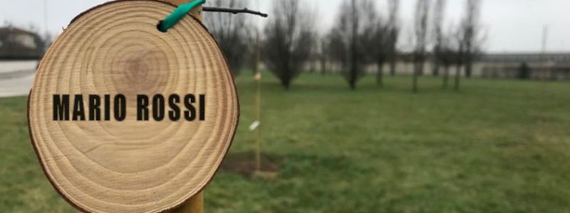 Dai il nome ad un albero