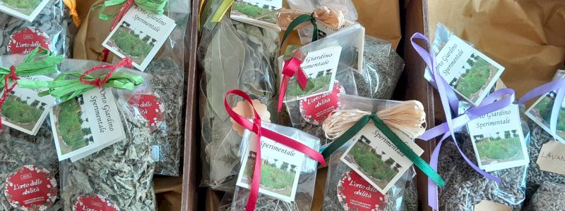 Profumo di erbe aromatiche